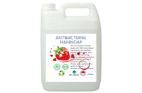 Anti bacterial Hand soap